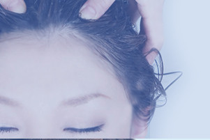 輝髪　プルーム